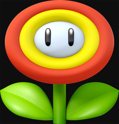 Link to Flower Cup Mario Kart Wii
